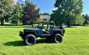 Jeep-Wrangler-4wd-1989-Blue-14