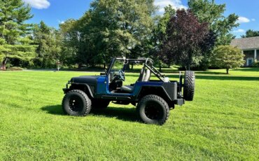 Jeep-Wrangler-4wd-1989-Blue-15