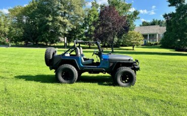 Jeep-Wrangler-4wd-1989-Blue-2