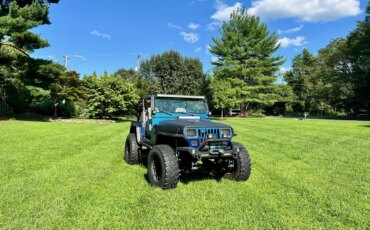 Jeep-Wrangler-4wd-1989-Blue-4