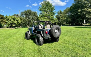 Jeep-Wrangler-4wd-1989-Blue-5