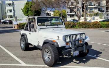 Jeep-Wrangler-4wd-1989-White-Gray-1