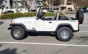 Jeep-Wrangler-4wd-1989-White-Gray-10