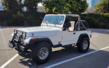 Jeep-Wrangler-4wd-1989-White-Gray-2