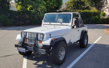Jeep-Wrangler-4wd-1989-White-Gray