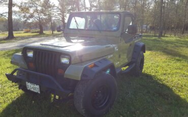 Jeep-Wrangler-4wd-1991-Black-Green-1