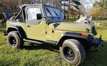 Jeep-Wrangler-4wd-1991-Black-Green