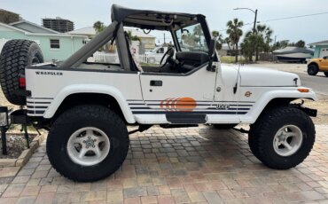 Jeep-Wrangler-4wd-islander-1990-White-White-1