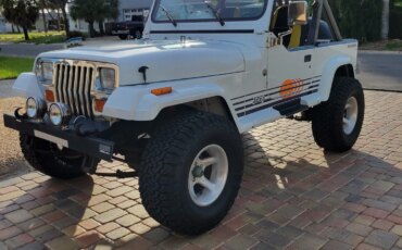 Jeep-Wrangler-4wd-islander-1990-White-White-3