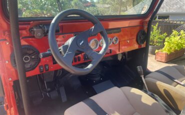 Jeep-Wrangler-4wd-islander-1991-Orange-Tan-4