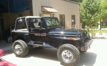 Jeep-Wrangler-4wd-renegade-1993-Black-Black