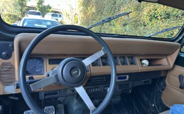 Jeep-Wrangler-4wd-s-1995-Green-Brown-1