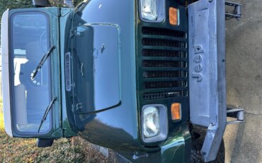 Jeep-Wrangler-4wd-s-1995-Green-Brown