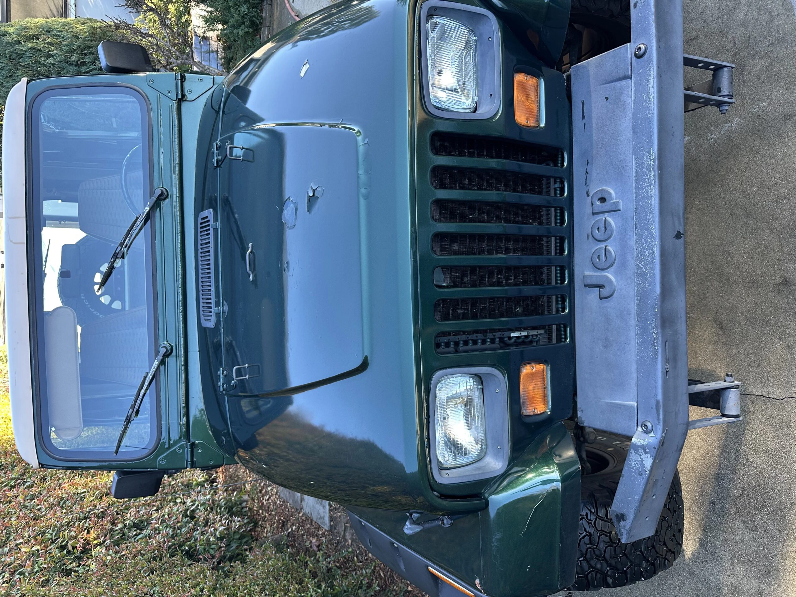 Jeep-Wrangler-4wd-s-1995-Green-Brown