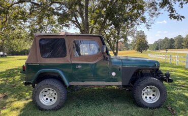 Jeep-Wrangler-4wd-sahara-1988-Green-Tan-3
