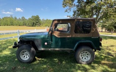 Jeep-Wrangler-4wd-sahara-1988-Green-Tan