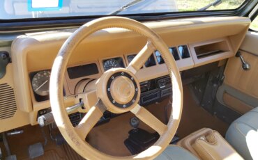 Jeep-Wrangler-4wd-sahara-1988-Tan-Brown-2