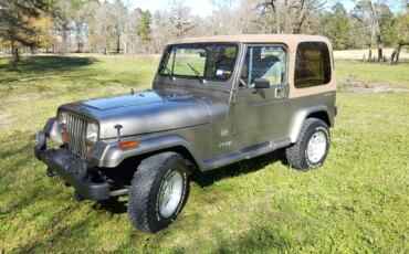 Jeep-Wrangler-4wd-sahara-1988-Tan-Brown