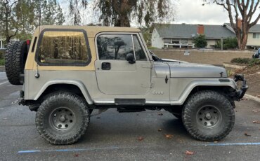 Jeep-Wrangler-4wd-sahara-1990-Gray-Tan-13