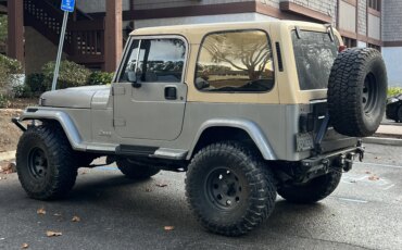 Jeep-Wrangler-4wd-sahara-1990-Gray-Tan-14