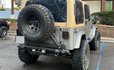 Jeep-Wrangler-4wd-sahara-1990-Gray-Tan-17