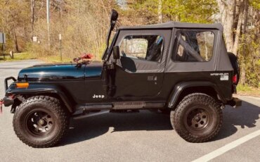 Jeep-Wrangler-4wd-sport-1991-Black-Black-3