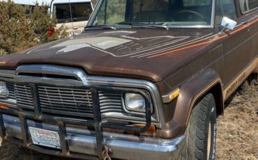 Jeep-cherokee-golden-eagle-1979-brown-2