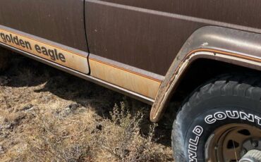 Jeep-cherokee-golden-eagle-1979-brown-3