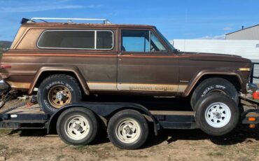 Jeep-cherokee-golden-eagle-1979-brown-4