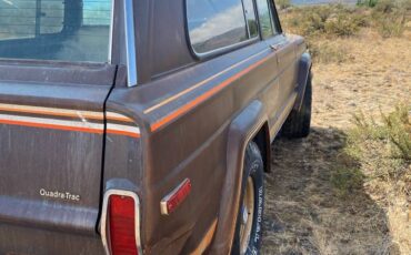 Jeep-cherokee-golden-eagle-1979-brown-5
