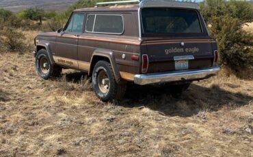 Jeep-cherokee-golden-eagle-1979-brown-7