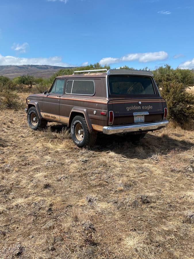 Jeep-cherokee-golden-eagle-1979-brown-7