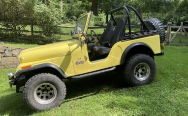 Jeep-cj-5-1976-yellow-1