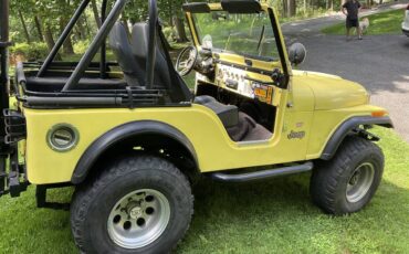 Jeep-cj-5-1976-yellow-2