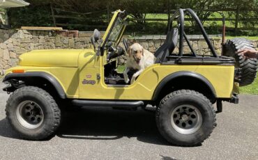 Jeep-cj-5-1976-yellow-3