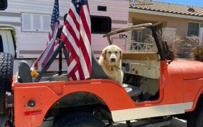 Jeep cj5 1975