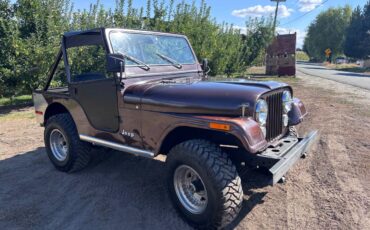 Jeep-cj5-1978-brown-1