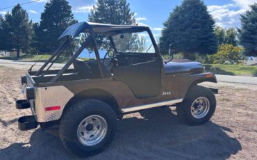 Jeep-cj5-1978-brown-3