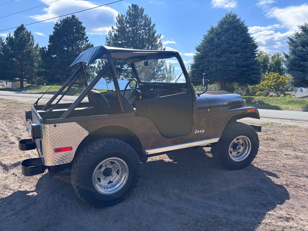 Jeep-cj5-1978-brown-3