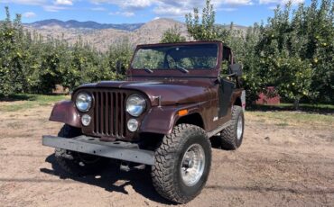 Jeep-cj5-1978-brown