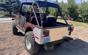Jeep-cj5-1978-brown-4