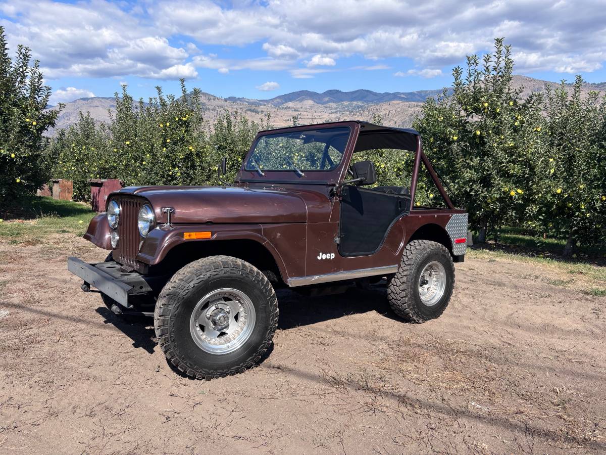Jeep-cj5-1978-brown-5