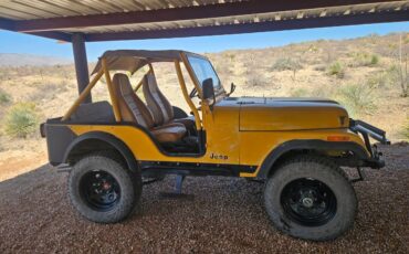 Jeep-cj5-1979-1