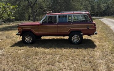 Jeep-grand-wagoneer-1985-3