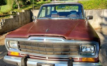 Jeep-grand-wagoneer-1988-4