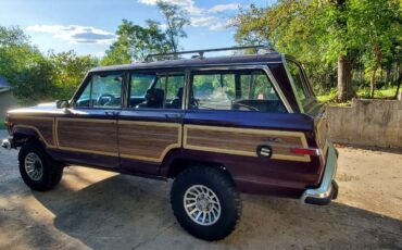 Jeep-grand-wagoneer-1988-5