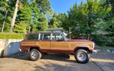 Jeep-grand-wagoneer-1988-6