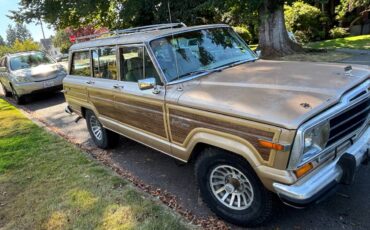 Jeep-grand-wagoneer-1989-brown-1