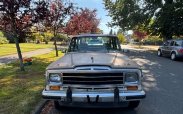 Jeep-grand-wagoneer-1989-brown-2
