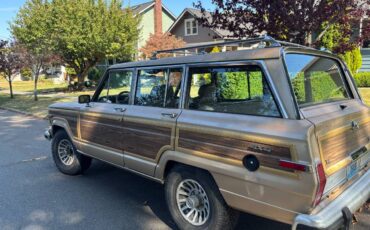 Jeep-grand-wagoneer-1989-brown-3